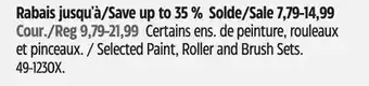 Canadian Tire Premier Paint Selected Paint, Roller and Brush Sets offer