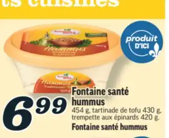 Marché Richelieu FONTAINE SANTÉ HUMMUS | FONTAINE SANTÉ HUMMUS offer