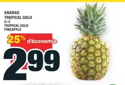 Super C ANANAS TROPICAL GOLD | TROPICAL GOLD PINEAPPLE offer