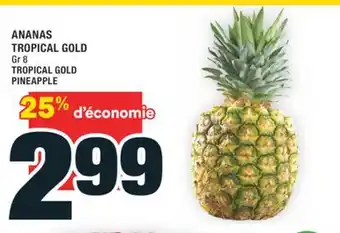 Super C ANANAS TROPICAL GOLD | TROPICAL GOLD PINEAPPLE offer