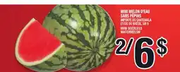 Marche Ami MINI MELON D'EAU SANS PÉPINS | MINI SEEDLESS WATERMELON offer