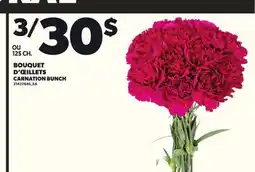 Provigo BOUQUET D'ŒILLETS CARNATION BUNCH offer