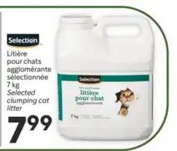 Brunet SELECTION Litière pour chats agglomérante sélectionnée offer