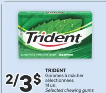 Brunet TRIDENT GOMMES À MÂCHER SÉLECTIONNÉES offer