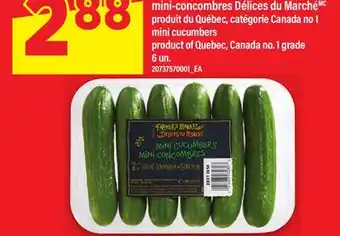 Maxi MINI-CONCOMBRES DÉLICES DU MARCHÉ, 6 un offer