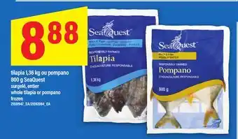 Maxi TILAPIA 1,36 KG OU POMPANO 800 G SEAQUEST | WHOLE TILAPIA OR POMPANO offer