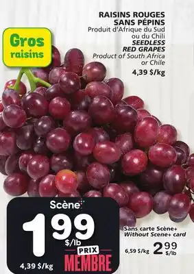 Marches Tradition SEEDLESS RED GRAPES offer