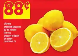 Maxi CITRONS offer