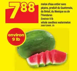 Maxi MELON D'EAU ENTIER SANS PÉPINS offer