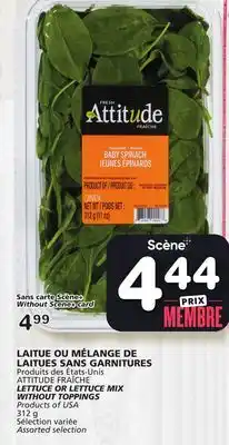 Marches Tradition ATTITUDE FRAÎCHE LETTUCE OR LETTUCE MIX WITHOUT TOPPINGS offer