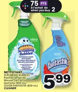 Marches Tradition SCRUBBING BUBBLES OR FANTASTIK (650 mL) CLEANER offer