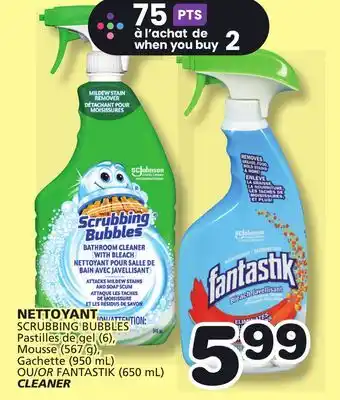 Marches Tradition SCRUBBING BUBBLES OR FANTASTIK (650 mL) CLEANER offer