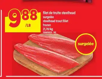 Maxi FILET DE TRUITE STEELHEAD | steelhead trout fillet offer