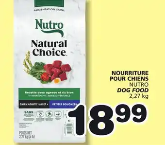 Marches Tradition NOURRITURE POUR CHIENS NUTRO DOG FOOD offer