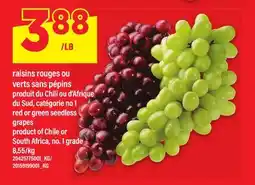 Maxi RAISINS ROUGES OU VERTS SANS PÉPINS | red or green seedless grapes offer