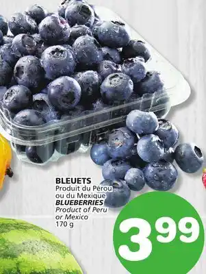 Marches Tradition BLUEBERRIES offer