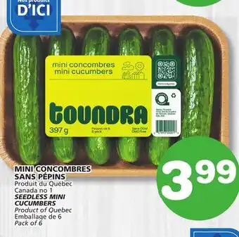 Marches Tradition SEEDLESS MINI CUCUMBERS offer