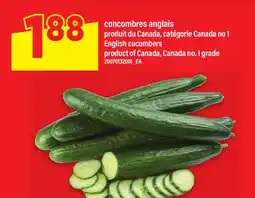 Maxi CONCOMBRES ANGLAIS | ENGLISH CUCUMBERS offer