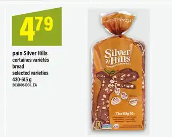 Maxi PAIN SILVER HILLS, 430-615g offer