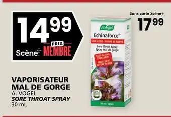 Rachelle-Bery Grocery A. VOGEL SORE THROAT SPRAY offer