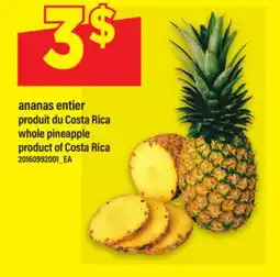 Maxi ANANAS ENTIER offer