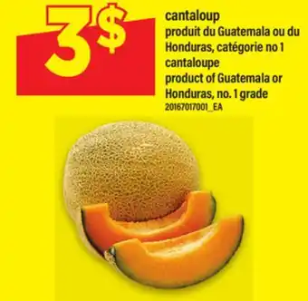 Maxi CANTALOUP offer