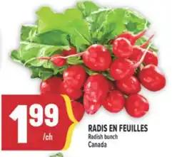 Marché Adonis RADIS EN FEUILLES | RADISH offer