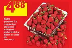 Maxi FRAISES, LB offer