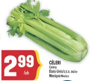 Marché Adonis CÉLERI | CELERY offer