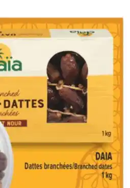 Marché Adonis DAIA Dattes branchées | Branched dates offer