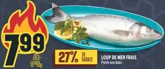 Marché Adonis LOUP DE MER FRAIS | Fresh sea bass offer