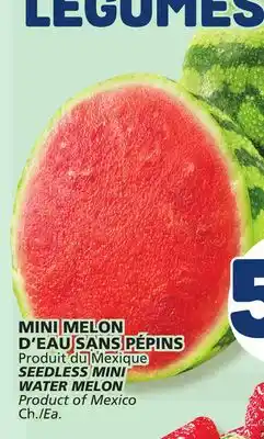 Marché Bonichoix SEEDLESS MINI WATER MELON offer