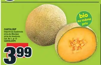 Super C CANTALOUP | CANTALOUPE offer