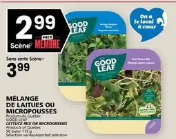 Rachelle-Bery Grocery GOOD LEAF LETTUCE MIX OR MICROGREENS offer