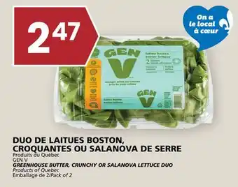 Rachelle-Bery Grocery GEN V GREENHOUSE BUTTER, CRUNCHY OR SALANOVA LETTUCE DUO offer