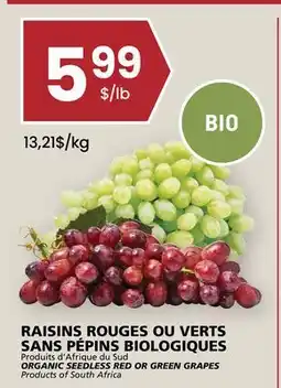 Rachelle-Bery Grocery ORGANIC SEEDLESS RED OR GREEN GRAPES offer