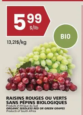 Rachelle-Bery Grocery ORGANIC SEEDLESS RED OR GREEN GRAPES offer