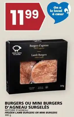 Rachelle-Bery Grocery HISTOIRE D'AGNEAU FROZEN LAMB BURGERS OR MINI BURGERS offer