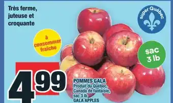 Super C POMMES GALA | GALA APPLES offer