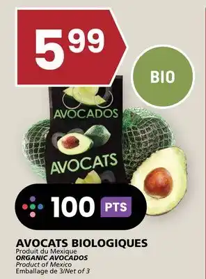 Rachelle-Bery Grocery ORGANIC AVOCADOS offer