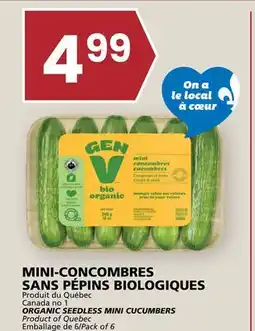 Rachelle-Bery Grocery ORGANIC SEEDLESS MINI CUCUMBERS offer