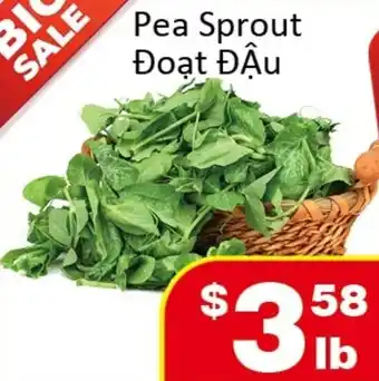 Jian Hing Supermarket Pea Sprout Đoạt Đậu offer