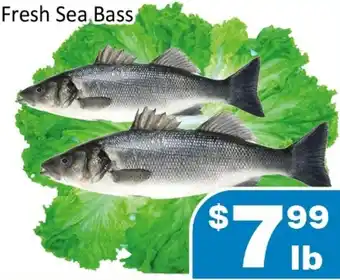 Jian Hing Supermarket Fresh Sea Bass offer