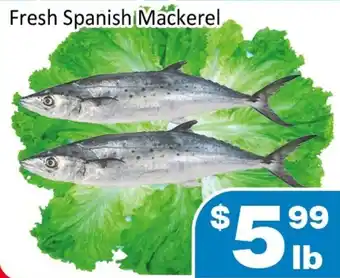 Jian Hing Supermarket Fresh Spanish Mackerel offer