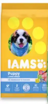 Walmart IAMS Dry Dog or Puppy Food offer