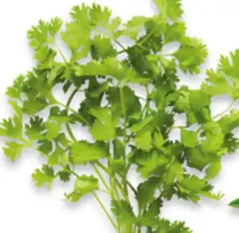 Walmart Cilantro offer