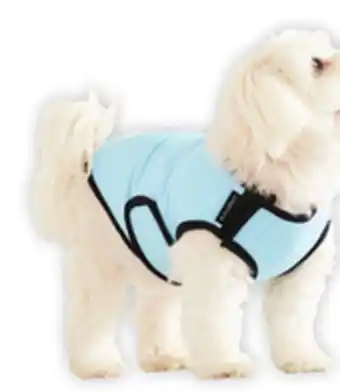 Walmart One Paw Rain Jacket offer