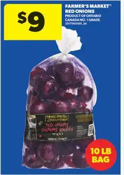 Real Canadian Superstore FARMER'S MARKET RED ONIONS, 10 LB BAG offer