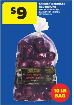 Real Canadian Superstore FARMER'S MARKET RED ONIONS, 10 LB BAG offer