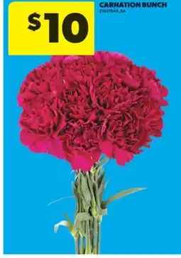 Real Canadian Superstore CARNATION BUNCH offer